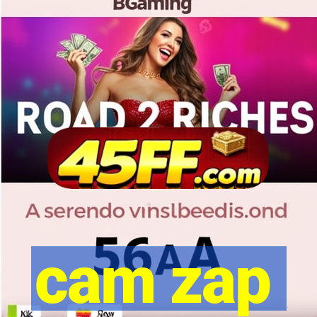 cam zap